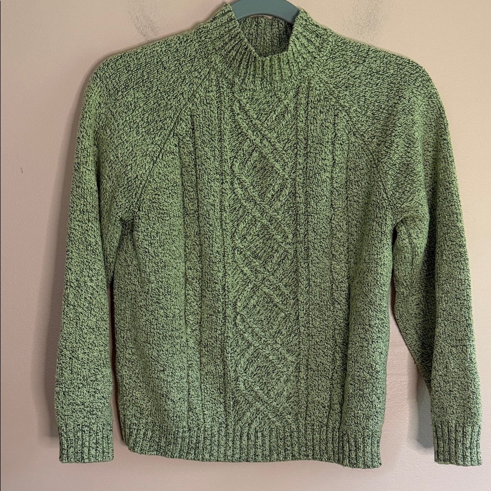 Debbie Morgan Men's Light Green Cable-Knit Crewneck Sweater
